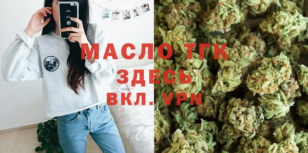 индика Беломорск