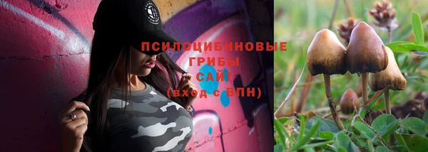 твердый Богородск