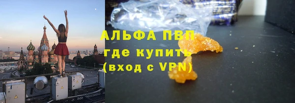 дмт Белокуриха