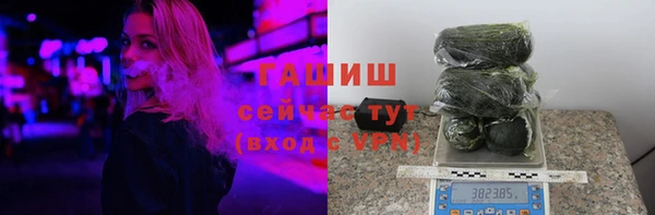 индика Беломорск