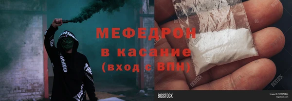 индика Беломорск