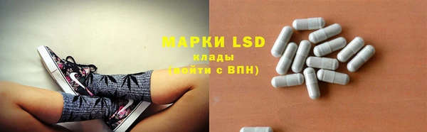 индика Беломорск