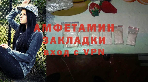 индика Беломорск