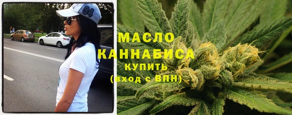 индика Беломорск