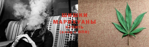 дмт Белокуриха