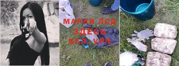 индика Беломорск