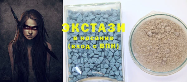 индика Беломорск