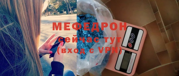 индика Беломорск