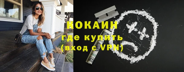 индика Беломорск